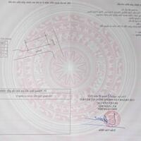 Bán 186m2 đất Tam Hồng, Yên Lạc giá chỉ 10tr/m