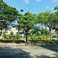 Hoa Hậu Khu Đất Đẹp Tđc Giang Biên,Lb.
Diện Tích 60M2
Mặt Tiền Gần 5M.
Hướng Đông Nam,View Vườn Hoa