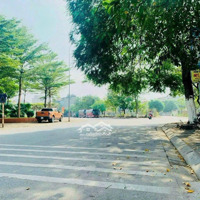Hoa Hậu Khu Đất Đẹp Tđc Giang Biên,Lb.
Diện Tích 60M2
Mặt Tiền Gần 5M.
Hướng Đông Nam,View Vườn Hoa