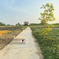Bán Đất Chính Chủ Ngay Mặt Tiền Đường Phạm Thị Bạch Vân, Phường 4, Gò Công, 500 Triệu/100M2 Shr