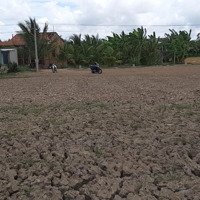 Bán Đất Chính Chủ Xã Tân Nhựt, Gò Công Tây, Tiền Giang