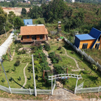Cực Rẻ! 1200M2 Nhà Vườn Ven Đà Lạt Chỉ 2 Tỷ 580 Triệu -0385057218