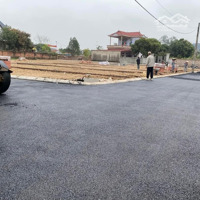 Bán Đất Thái Lai, Minh Trí , Sóc Sơn , Hà Nội Giá Chỉ Từ 16, 5 Triệu/M2 Bao Sổ