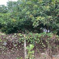 Đất Thổ Cư 166M2 Tại Bảo Hoà, Gần Long Khánh, Gần Ql1A, Nhiều Tiện Ích Sống, Giá Rẻ