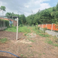 1 Lô Duy Nhất Gần Bv Xuyên Á, Củ Chi, 600M2, Shr, 1 Tỷ 385