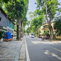 Biệt Thự Mặt Phố Tăng Bạt Hổ - Đất Vàng Đầu Tư,Diện Tích438M - Mặt Tiền Khủng 25M Giá Bán 179,5 Tỷ
