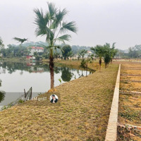 Bán Đất 60M2 Tại Đường 21, Sơn Đông, Sơn Tây, Hà Nội, Giá Bán 1,9 Tỷ