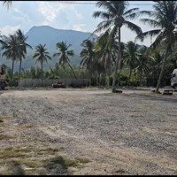 Bán Gấp Đất Mặt Tiền Ql1A Tp Nha Trang Với Lợi Thếmặt Tiềnngang 61M