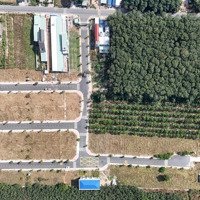 1 Tỷ 350 Triệu Giá Tốt Từ Cđt Khu Tái Định Cư Tân Hiệp, Tân Uyên 72M2 Full Tc