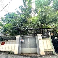 Bán Biệt Thự Sân Vườn 339/22B Lê Văn Sỹ, Phường 13, Quận 3. Ngay Ngã 4 Lê Văn Sỹ - Trần Quang Diệu