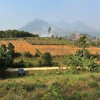 Nghỉ Dưỡng Đẹp Rẻ Nhất Minh Quang Ba Vì Hn Tài Chính 2,X Tỷdiện Tích2600M Liên Hệ: 0828725983