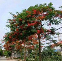 Bán Nhà Riêng 2,15 Tỷ, 45 M2 Tại Văn Đẩu, Kiến An, Hải Phòng, Giá Siêu Hời!