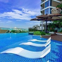 Booking Shophouse Thảo Điền Green Giỏ Hàng Cđt, Sẵn Hợp Đồng Thuê, Chiết Khấu 8%