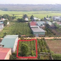 Bán Gấp Đất Nền Tại Xã Trà Đa, Plei Ku, Gia Lai, 950 Triệu, 280M2