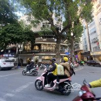 Cho Thuê Mặt Bằng Làm Cafe, Nhà Hàng, Phố Giảng Võ - Ba Đình: Lô Góc 14Mdiện Tích80M2 X 2 Tầng Giá 45 Triệu