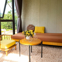 Siêu Phẩm 20.000M2 Kdl Đồi Cam Sinh Thái Hữu Cơ Phù Hợp Làm Khu Du Lịch Tổng Hợp,Tổ Chức Sự Kiện