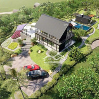 Siêu Phẩm 20.000M2 Kdl Đồi Cam Sinh Thái Hữu Cơ Phù Hợp Làm Khu Du Lịch Tổng Hợp,Tổ Chức Sự Kiện