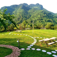 Siêu Phẩm 20.000M2 Kdl Đồi Cam Sinh Thái Hữu Cơ Phù Hợp Làm Khu Du Lịch Tổng Hợp,Tổ Chức Sự Kiện