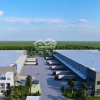 Cho Thuê Kho Bãi Hiện Đại Tại Trung Tâm Logistics Hàng Đầu, Kết Nối Giao Thương Việt - Trung.
