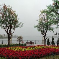 Chính Chủ Gửi Bán Mảnh Đất Tái Định Cư Thôn Hội Phụ. Đông Hôi. Đông Anh