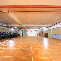 (Mặt Phố) Phùng Chí Kiên Cầu Giấy_ 255M_ 9Tầng_ 11M Mặt Tiền _ Toà Vp To Nhất Phố_ Nở Hậu_ 2Thoáng