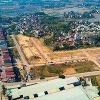 Chính Chủ Gửi Bán Lô Đất Đấu Giá Đại Lâm Đại Giáp Thành Phố Bắc Giang