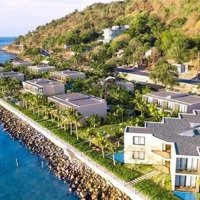 Bán Đất Mặt Tiền Trần Phú Ngang 44,5M