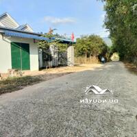 Bán đất Khánh Đông full thổ mặt đường bê tông liên thôn