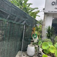 Cc Cần Bán 100M Đất Khu Thị Tứ, Gần Ubnd Xã Quang Trung, Kinh Doanh Sầm Uất Ngày Đêm, Oto Vào Nhà