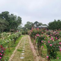 Chuyển Nhượng 7346M2 Khuôn Viên Yên Bình Tại Lạc Thuyt, Hòa Bình