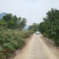 Chuyển Nhượng 7346M2 Khuôn Viên Yên Bình Tại Lạc Thuyt, Hòa Bình