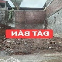 Bán Đất Đa Tốn Gia Lâm/ Diện Tích: 55M/Mt 7M/Đường 4M/Oto Thông/Vào Đắt/Mảnh Siêu Đẹp/Cạnh Vin Ocean/ 5,6 Tỷ