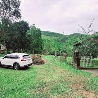 Bán Đất Siêu Đẹp - 100 Hecta - Sát Bà Nà, Hộ Túi Cơ Hội Đầu Tư Khu Du Lịch Sinh Thái Đẳng