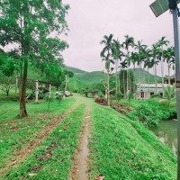 Bán Đất Siêu Đẹp - 100 Hecta - Sát Bà Nà, Hộ Túi Cơ Hội Đầu Tư Khu Du Lịch Sinh Thái Đẳng