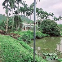 Bán Đất Siêu Đẹp - 100 Hecta - Sát Bà Nà, Hộ Túi Cơ Hội Đầu Tư Khu Du Lịch Sinh Thái Đẳng