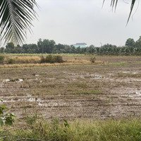Bán Đất 11.600M2Mặt Tiềntrương Văn Đa Giá 3. 3 Triệu/M2