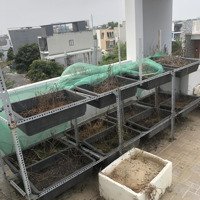 Cho Thuê Nhà 3 Lầu Giá Rẻ Bưng Ông Thoàn Phú Hữu Tp Thủ Đức
