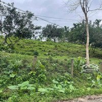 Bán Lô Đất Vườn Siêu Đẹp 1500 M Có 120 M Đất Ở . Ngang 25 M. Hoà Vang