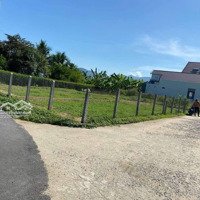 Diên Lạc Mặt Tiền Đường Nhựa Vị Trí Trung Tâm,Shr Sang Tên Nhanh