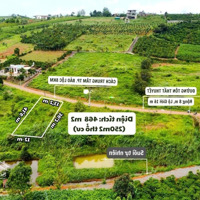 Đất Thổ Cư Giáp Suối, Mặt Tiền Đường Tôn Thất Thuyết, Đambri, Tp Bảo Lộc 468M2 (250M2 Thổ Cư)