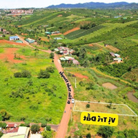 Đất Thổ Cư Giáp Suối, Mặt Tiền Đường Tôn Thất Thuyết, Đambri, Tp Bảo Lộc 468M2 (250M2 Thổ Cư)