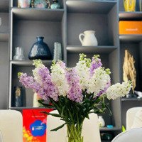 Khai Xuân Chính Chủ Cần Bán Nhanh Ch 86M2 3 Phòng Ngủ- 2 Vệ Sinhtại Toà Samssora 105, Full Nội Thất.