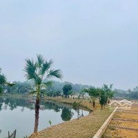 Bán Đất Nền Thích Hợp Đầu Tư, Giá Rẻ Bất Ngờ