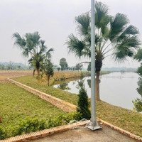 Bán Đất Nền Thích Hợp Đầu Tư, Giá Rẻ Bất Ngờ