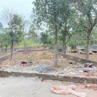 Bán 100M2 Đất Full Thổ Cư Tại Thái Lai, Minh Trí, Sóc Sơn ,Hà Nội