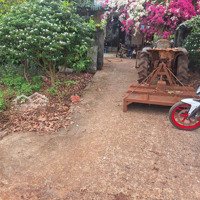 Bán Đất Tại Xã Long Bình, Phú Riềng, Bình Phước, Giá Cực Chất Chỉ Với 290 Triệu, 820M2