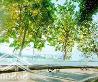 Đất Phố Võng Thị, Tây Hồ, Ngõ Thông, Ô Tô Vào Nhà, 2 Thoáng, 50 Ra Hồ Tây, 50M2, 13.5 Tỷ