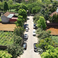 60M2 Tái Định Cư Vai Réo Giá Nhỉnh Tỷ Tý, Đất Công Nghệ Cao Cao, Đường Đường7M, Vỉa Hè 3M