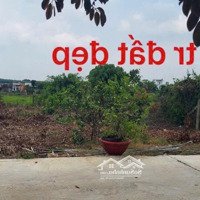 Cần Bán 245M2 Đất Ở Đẹp Ngay Kdc Kín Xã Xuyên Mộc, Tiện Ích Bao Quanh 500M. Thuận Tiện An Cư Hay Đt