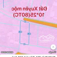 Cần Bán 245M2 Đất Ở Đẹp Ngay Kdc Kín Xã Xuyên Mộc, Tiện Ích Bao Quanh 500M. Thuận Tiện An Cư Hay Đt
